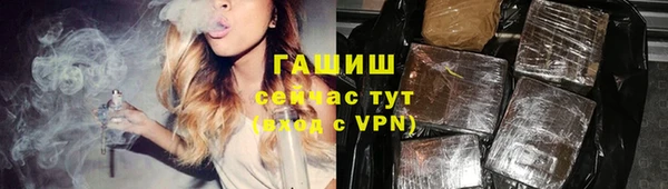 гашик Верея