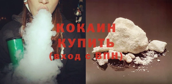 гашик Верея