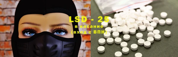 гашик Верея