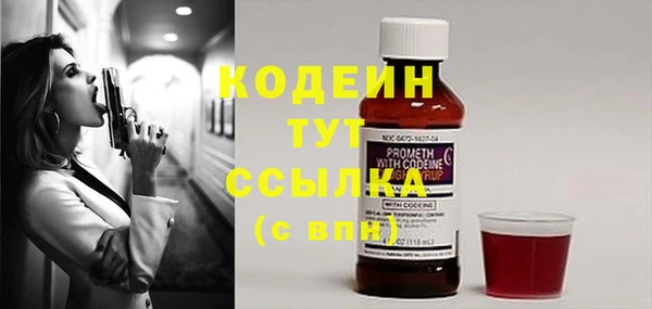 гашик Верея