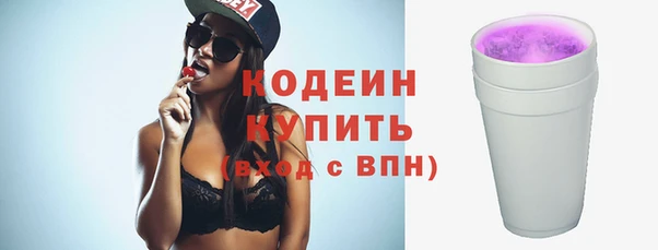 гашик Верея