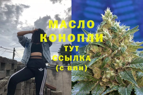 гашик Верея