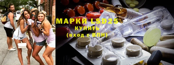 гашик Верея