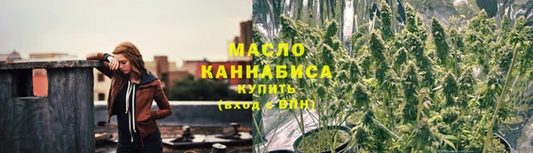 гашик Верея