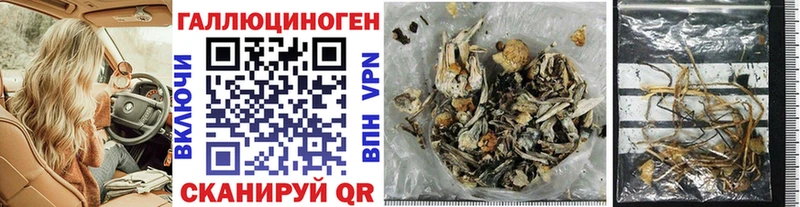 Псилоцибиновые грибы Cubensis  где найти наркотики  Волоколамск 